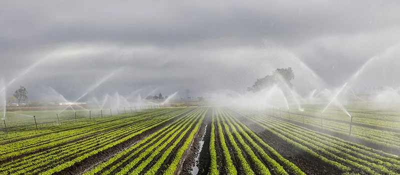 Wireless smart irrigation control